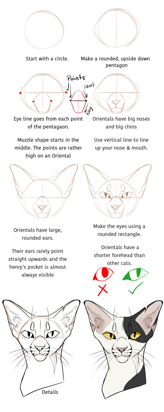 old Oriental Tutorial By ClimbToTheStars On DeviantArt old-oriental-tutorial-by-climbtothestars-on-deviantart