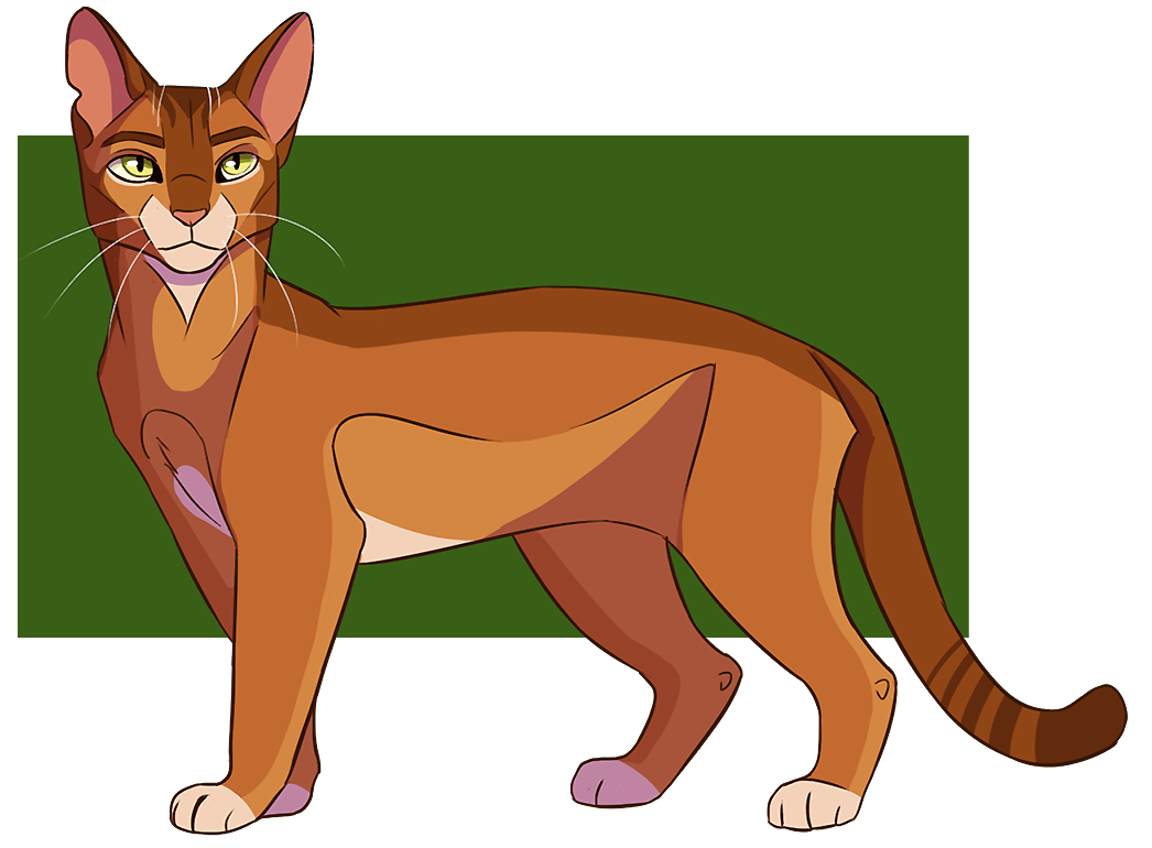 Firestar - Warrior Cats by SnexMy on DeviantArt