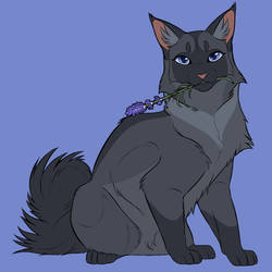 cinderpelt