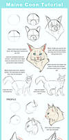 Maine Coon Tutorial