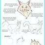 Maine Coon Tutorial