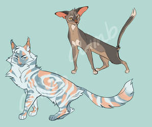 Cat Adoptables (closed)