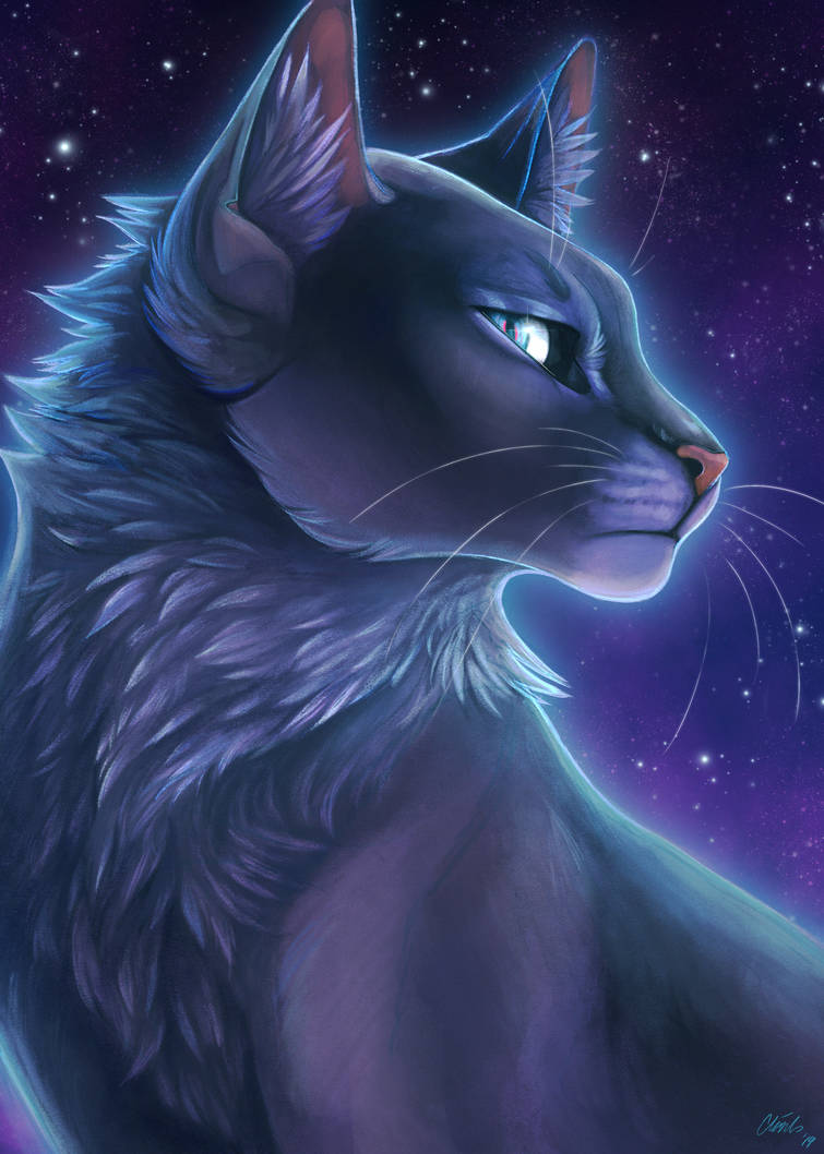 Синяя звезда из котов воителей. Коты Воители синяя звезда. Катываители синия звизда. Синяя звезда коты Воители арт. Коты Воители с синей звездой.
