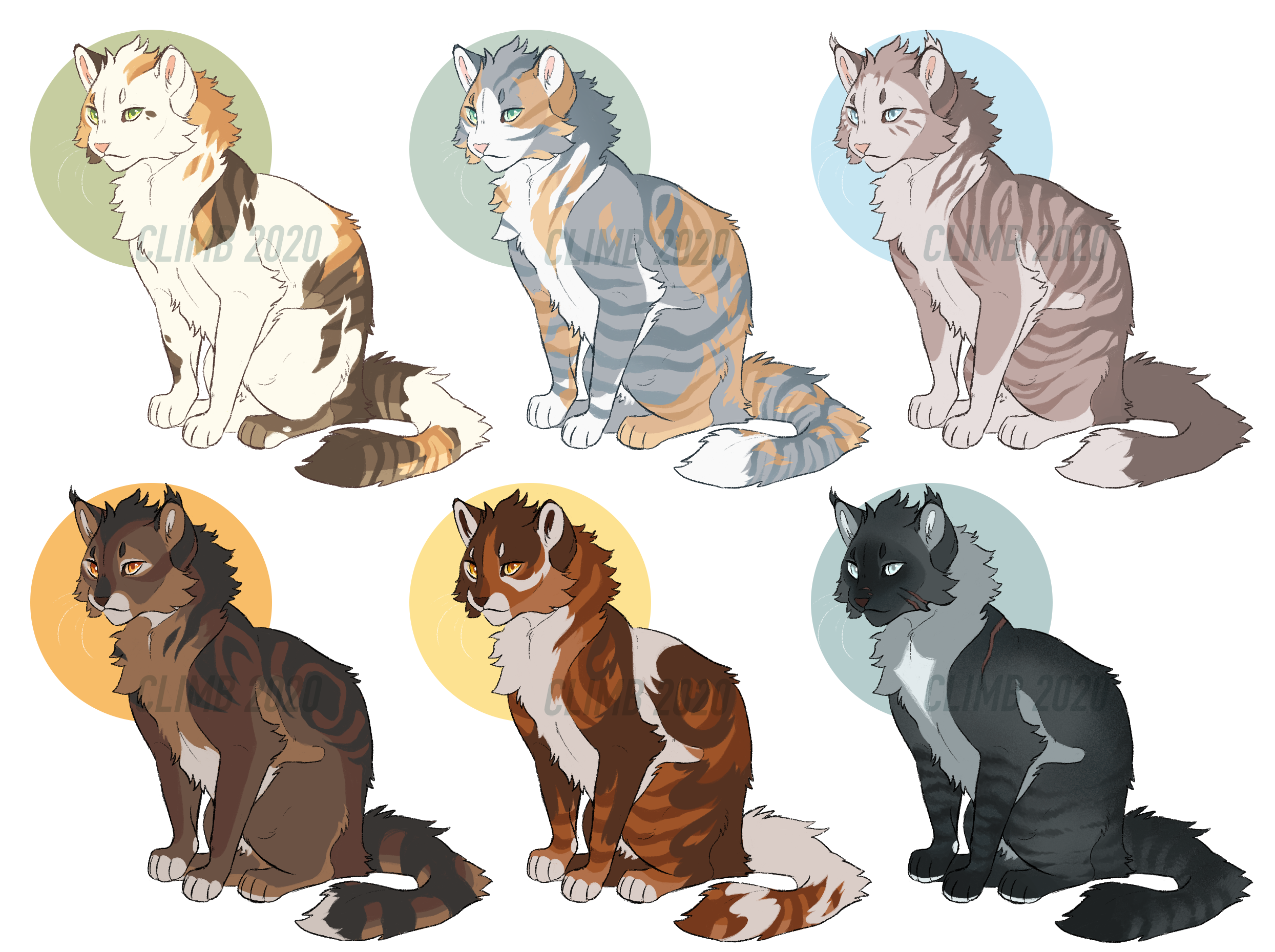 warrior cat adopts - closed by ClimbToTheStars on DeviantArt