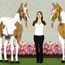 Halter Futurity