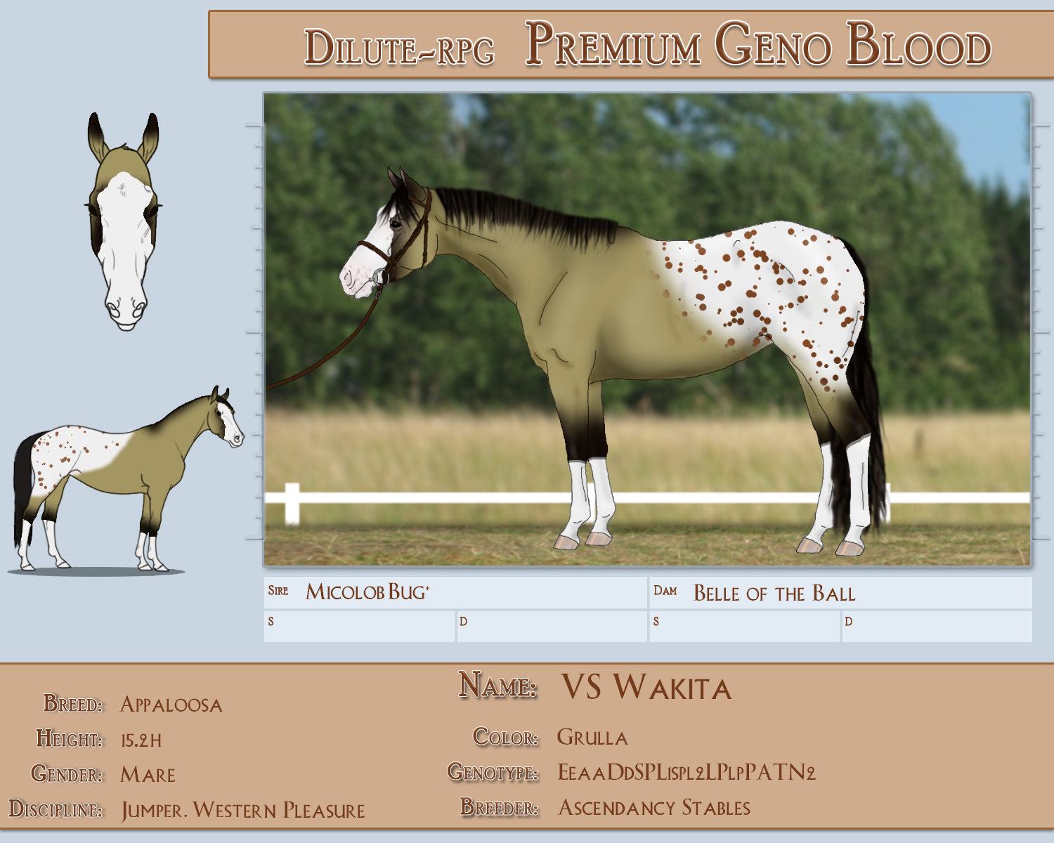 PGB VS Wakita