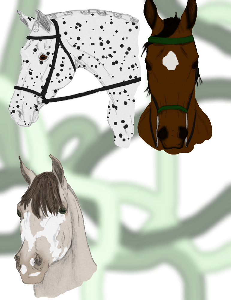 ASMS Entry One