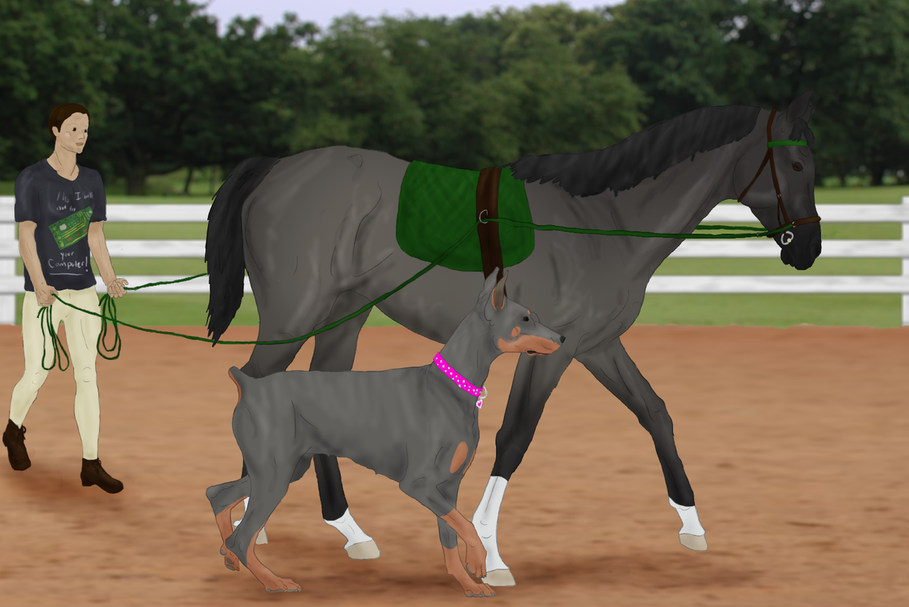 Lily ground training
