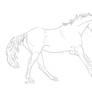 Canter Lineart