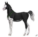 Grand Champion Youngstock by AniaJag