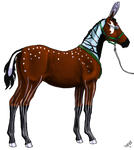 Reserve Champion Youngstock by AniaJag