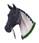 Halter Expo Reserve Champion by AniaJag