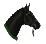 Mare Show Reserve Champion by AniaJag