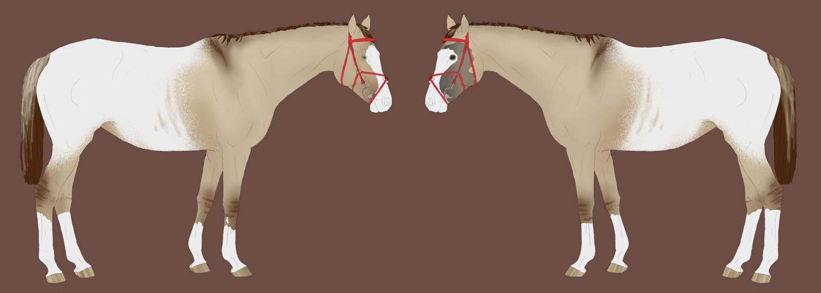 Appy foal design
