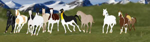 The stallion herd by AniaJag The stallion herd by AniaJag
