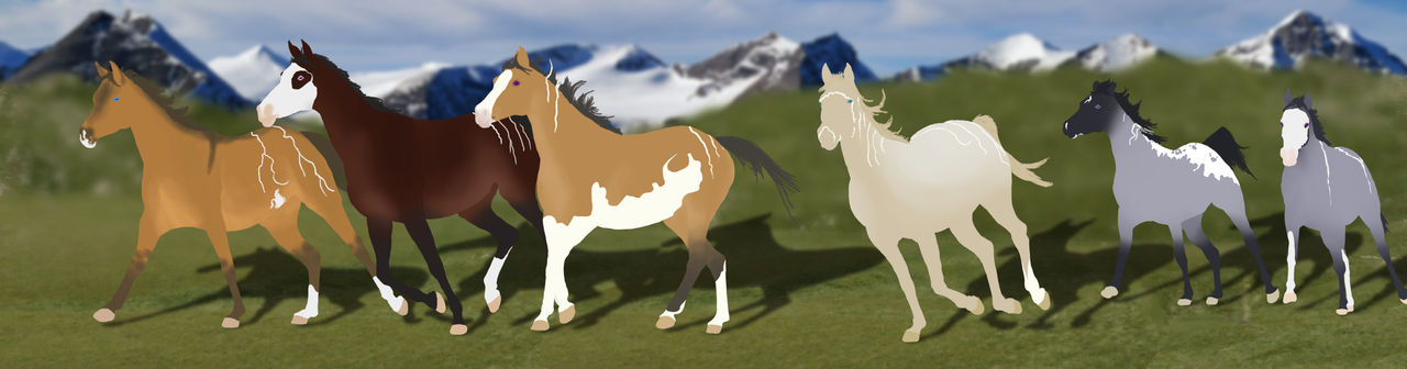 The gelding herd by AniaJag The gelding herd by AniaJag