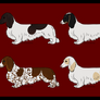Dachshunds - Day 8 - CLOSED