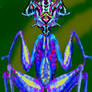 Hymenopus Coronatus - Methusulan Orchid Mantis    
