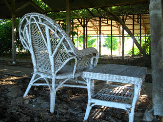 Wicker set under chicken shed.