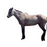 free to use horse cut out