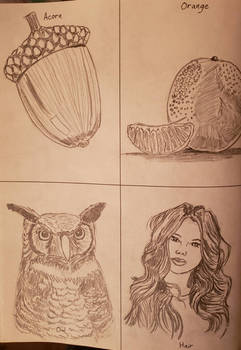 acorn / orange/ owl / hair