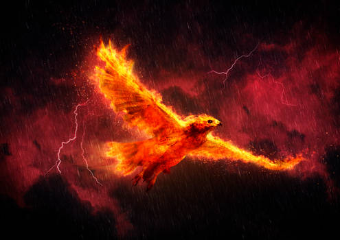 Phoenix Storm