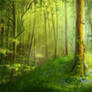Forest study