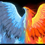 The Dual Phoenix