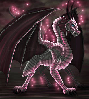 Dragon Light