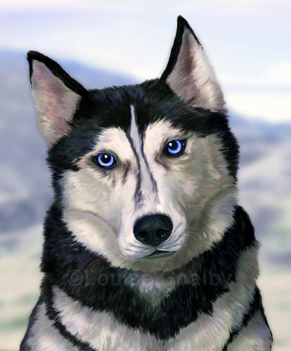 Husky Deviantart Husky by FleetingEmber on DeviantArt
