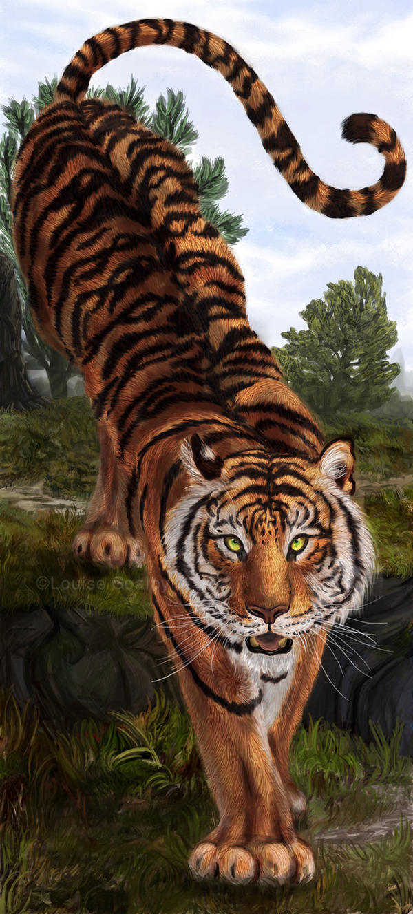 Tiger Tiger by FleetingEmber on DeviantArt