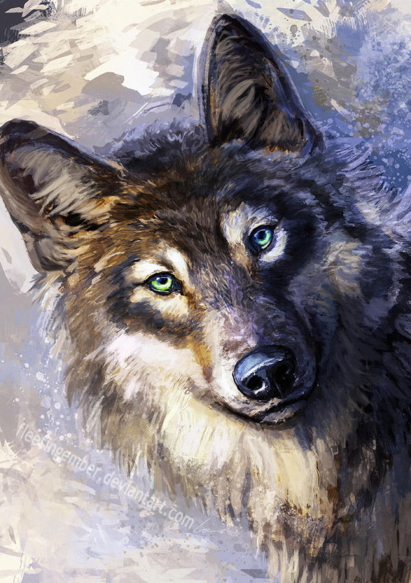 Цветные картинки волка. Красивый волк. Волк рисунок. Картина волки. Волк живопись.