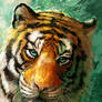 Tiger Eyes