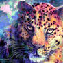 Purple Leopard