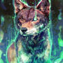 Red Wolf - Magic