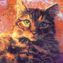 Riggy - Cat Portrait