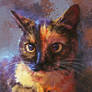 Tortoiseshell Cat
