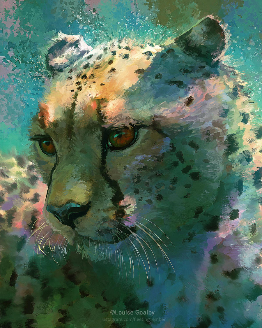 Cheetah