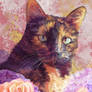 Cat Portrait - Cinder