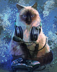 Xbox cat