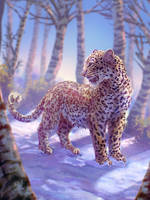 Amur Leopard