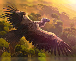 Phanerozoic - Argentavis