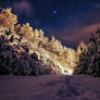 Wonderful winter night