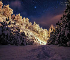 Wonderful winter night