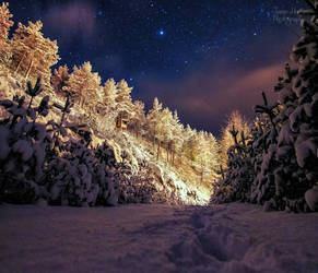 Wonderful winter night