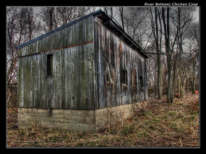 Chicken Coop