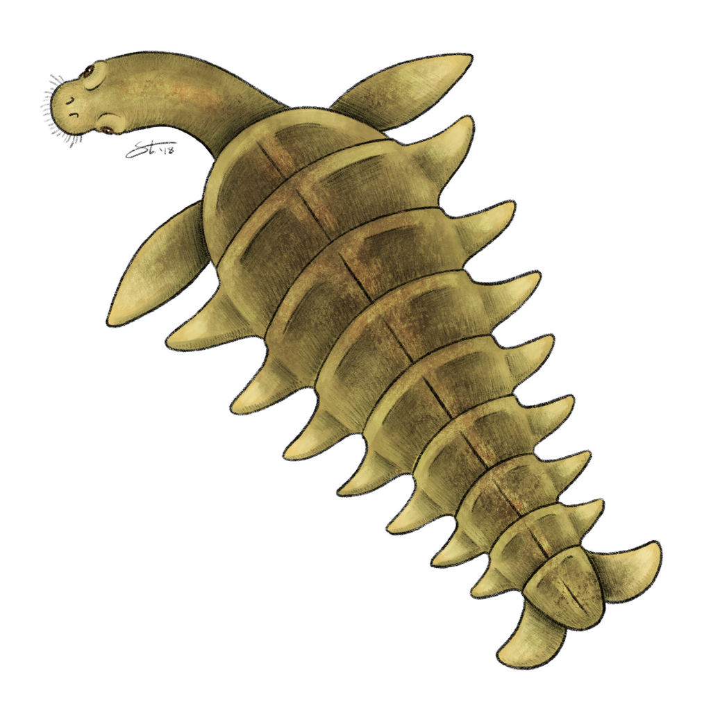 Daily Cryptid #8: Many-Finned/Con Rit by tylerstoneart on DeviantArt