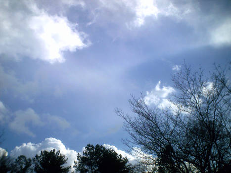 Feb. 11 Afternoon Cloudscape