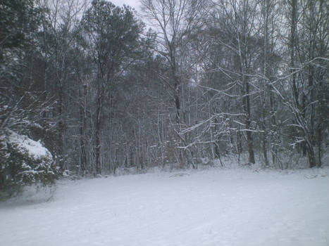 Winter Wonderland, 03-01-09