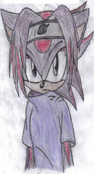 Changed Sasuke the hedgehog